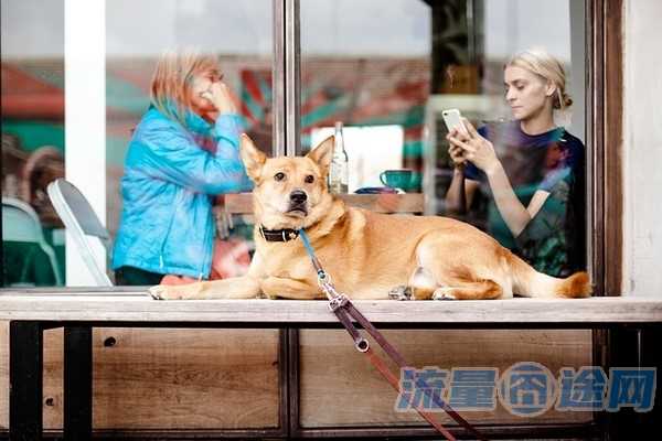 移动校园流量卡超出怎么算（移动校园套餐流量超了费用怎么算）2